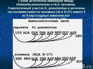 Схема антигенной мимикрии между Klebsiella pneumoniae и HLA человека. Гомологичн
