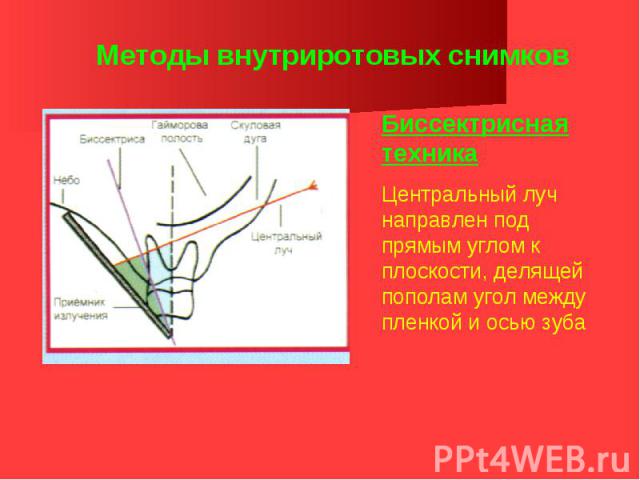 Карта эстетического обследования в стоматологии