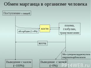 Обмен марганца в организме человека Поступление с пищей Выведение с калом (~100%