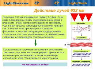 Действие лучей 633 нм Излучение 633 мм проникает на глубину 8-10мм. Слои кожи- б