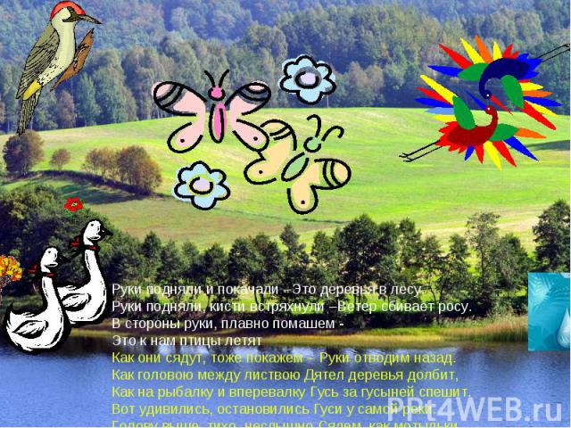 Руки подняли и покачали –Это деревья в лесу. Руки подняли, кисти встряхнули –Ветер сбивает росу. В стороны руки, плавно помашем - Это к нам птицы летят. Как они сядут, тоже покажем – Руки отводим назад. Как головою между листвою Дятел деревья долбит…
