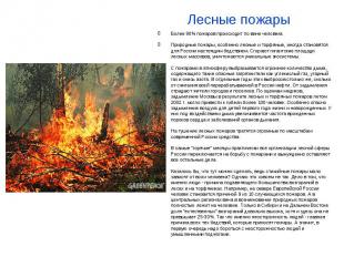 Лесные пожары Более 90% пожаров происходит по вине человека Природные пожары, ос