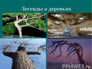 Легенды о деревьях