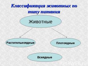 Классификация животных по типу питания Животные Растительноядные Плотоядные Всея