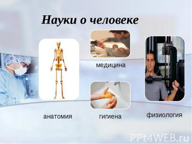 Науки о человеке анатомия медицина гигиена физиология