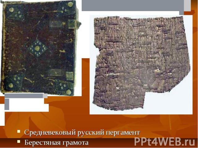 Средневековый русский пергамент Берестяная грамота