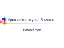 Урок литературы 5 класс