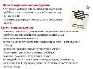 Гимназия №56 Санкт-Петербург Цели программы сопровождения: создание условий для