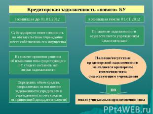 Кредиторская задолженность «нового» БУ возникшая до 01.01.2012 возникшая после 0