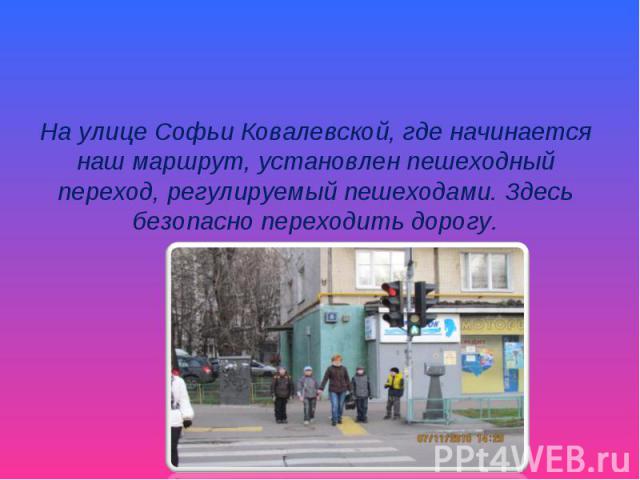 На улице Софьи Ковалевской, где начинается наш маршрут, установлен пешеходный переход, регулируемый пешеходами. Здесь безопасно переходить дорогу.
