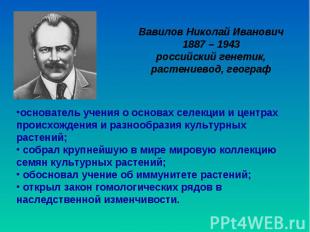 Вавилов Николай Иванович 1887 – 1943 российский генетик, растениевод, географ ос