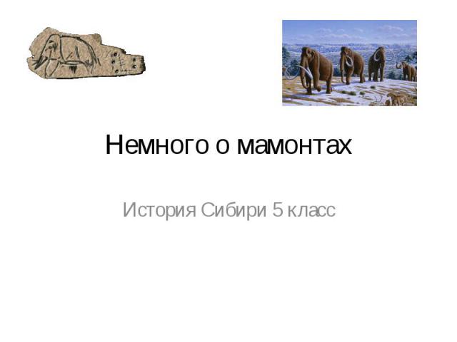 Немного о мамонтах История Сибири 5 класс