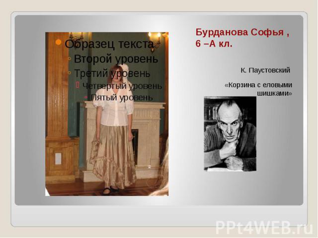Бурданова Софья, 6 –А кл. К. Паустовский «Корзина с еловыми шишками»
