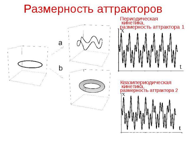 Размерность аттракторов Квазипериодическая кинетика, размерность аттрактора 2 Периодическая кинетика, размерность аттрактора 1