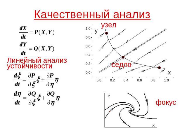 Линейный анализ. Линейный анализ устойчивости. Кинетика нелинейных процессов. Ng линейный анализ.