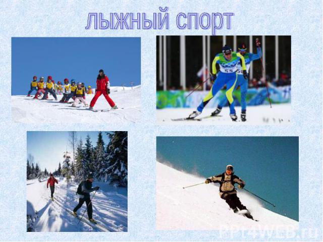 лыжный спорт