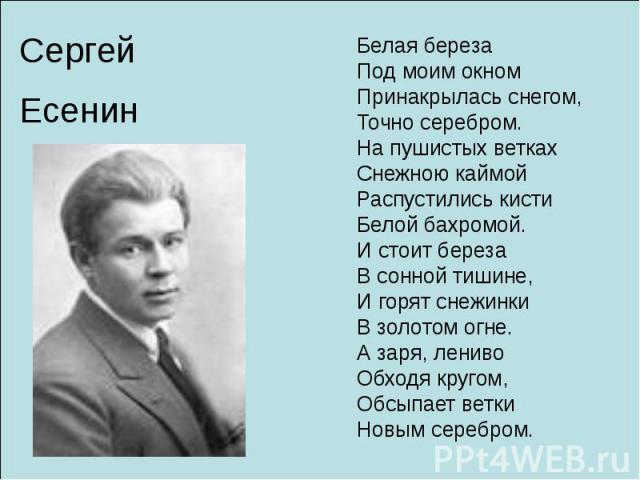 Белая береза Под моим окном Принакрылась снегом, Точно серебром. На пушистых ветках Снежною каймой Распустились кисти Белой бахромой. И стоит береза В сонной тишине, И горят снежинки В золотом огне. А заря, лениво Обходя кругом, Обсыпает ветки Новым…