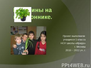 Проект выполнили учащиеся 1 класса НОУ школы «Ирида» г. Москвы 2010 – 2011 уч. г