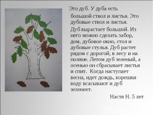 Это дуб. У дуба есть большой ствол и листья. Это дубовые ствол и листья. Дуб выр