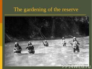 The gardening of the reserve