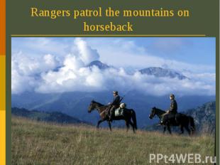 Rangers patrol the mountains on horseback