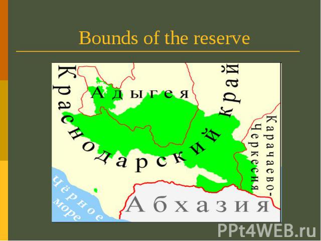 Bounds of the reserve