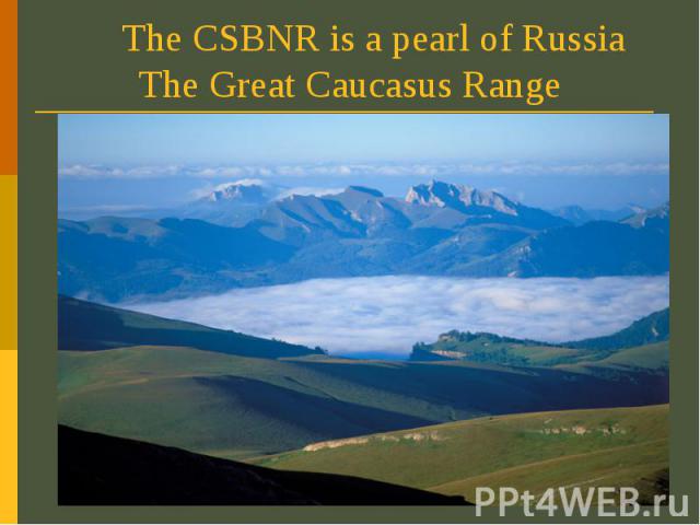 The CSBNR is a pearl of Russia The Great Caucasus Range