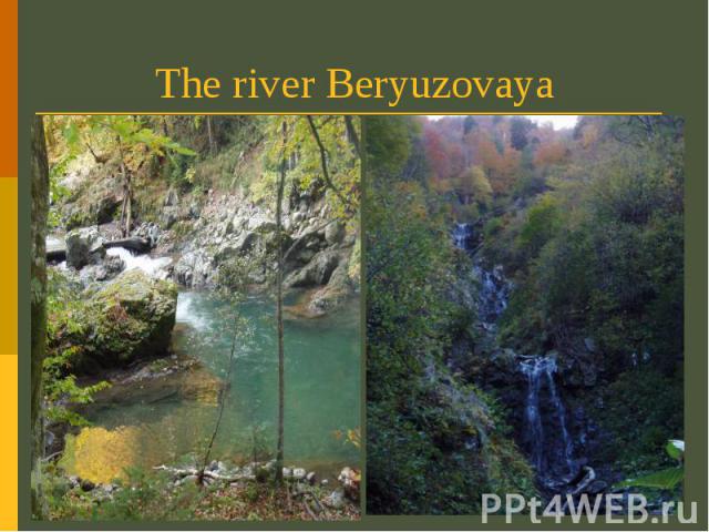 The river Beryuzovaya