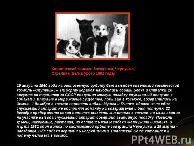 19 августа 1960 года на околоземную орбиту был выведен советский космический корабль «Спутник-5». На борту корабля находились собаки Белка и Стрелка. 20 августа на территории СССР совершил мягкую посадку спускаемый аппарат с собаками. Впервые в мире…