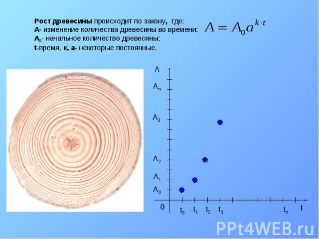 Рост древесины происходит по закону, где: A- изменение количества древесины во времени; A 0 - начальное количество древесины; t-время, к, а- некоторые постоянные. t 0 t0t0 t1t1 t2t2 t3t3 tntn А A0A0 A1A1 A2A2 A3A3 AnAn