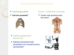 Группа дыхания Как мы дышим? Группа снабжения и питания Зачем нам кровеносная си