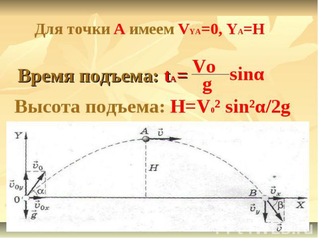 Для точки А имеем VYA=0, YA=HВремя подъема: tA=Высота подъема: H=V0² sin²α