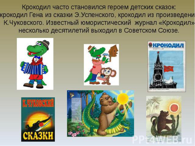 Крокодил часто становился героем детских сказок:крокодил Гена из сказки Э.Успенского, крокодил из произведений К.Чуковского. Известный юмористический журнал «Крокодил» несколько десятилетий выходил в Советском Союзе.