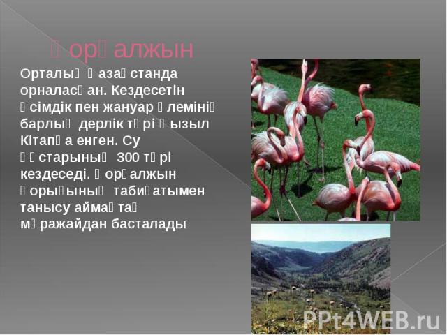 Қорғалжын Орталық Қазақстанда орналасқан. Кездесетін өсімдік пен жануар әлемінің барлық дерлік түрі Қызыл Кітапқа енген. Су құстарының 300 түрі кездеседі. Қорғалжын қорығының табиғатымен танысу аймақтақ мұражайдан басталады