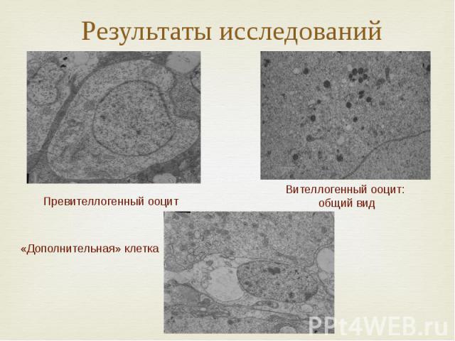 Результаты исследований