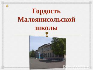 Гордость Малоянисольской школы