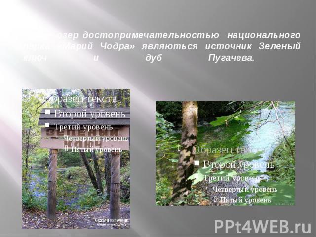 Кроме озер достопримечательностью национального парка «Марий Чодра» являються источник Зеленый ключ и дуб Пугачева.