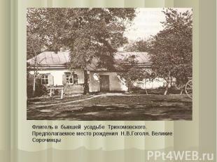 Флигель в бывшей усадьбе Трихомовского. Предполагаемое место рождения Н.В.Гоголя