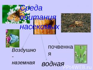 Среда обитания насекомых Воздушно-наземнаяпочвеннаяводная