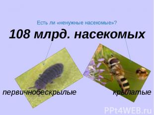 Есть ли «ненужные насекомые»?108 млрд. насекомыхпервичнобескрылые крылатые