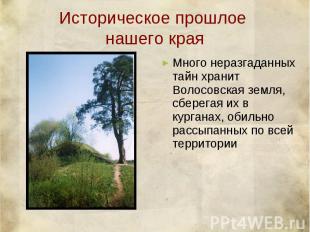 Историческое прошлое нашего края Много неразгаданных тайн хранит Волосовская зем