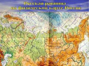 Русская равнина на физической карте России
