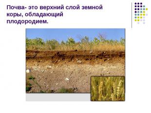 Почва- это верхний слой земной коры, обладающийплодородием.