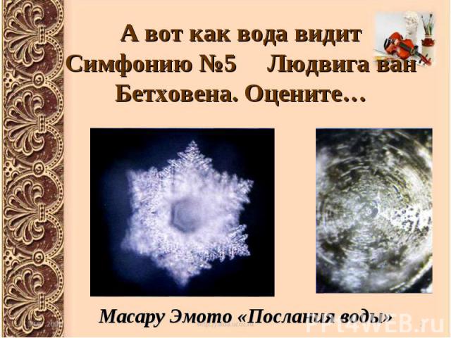 А вот как вода видит Симфонию №5 Людвига ван Бетховена. Оцените… Масару Эмото «Послания воды»