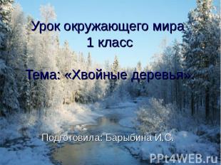 Урок окружающего мира 1 классТема: «Хвойные деревья». Подготовила: Барыбина И.С.