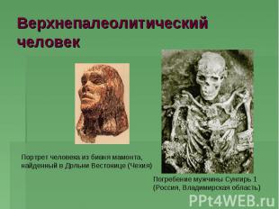 Верхнепалеолитический человек Портрет человека из бивня мамонта, найденный в Дол