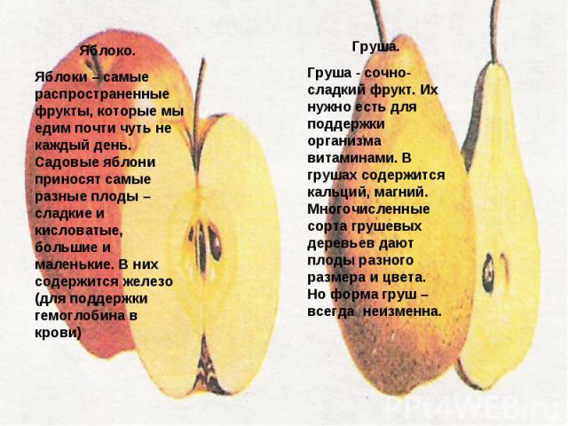 Яблоко. Яблоки – самые распространенные фрукты, которые мы едим почти чуть не каждый день. Садовые яблони приносят самые разные плоды – сладкие и кисловатые, большие и маленькие. В них содержится железо (для поддержки гемоглобина в крови)Груша. Груш…