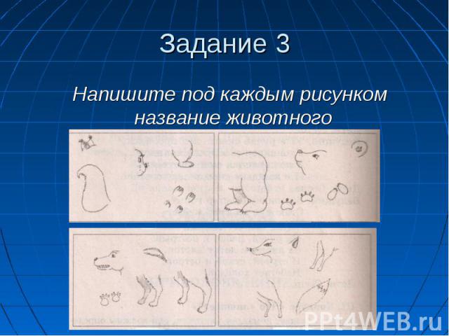 Задание 3 Напишите под каждым рисунком название животного