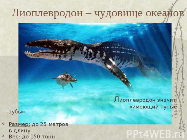 Лиоплевродон – чудовище океанов Лиоплевродон значит «имеющий тупые зубы».Размер: до 25 метров в длинуВес: до 150 тонн