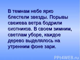 В темнам небе ярко блестели звезды. Порывы свежева ветра бодрили охотников. В св